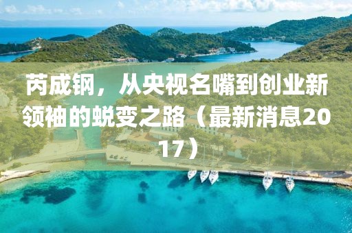 芮成鋼，從央視名嘴到創(chuàng)業(yè)新領(lǐng)袖的蛻變之路（最新消息2017）