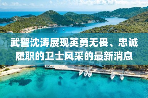 武警沈濤展現(xiàn)英勇無畏、忠誠履職的衛(wèi)士風(fēng)采的最新消息