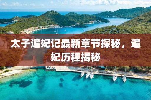 太子追妃記最新章節(jié)探秘，追妃歷程揭秘