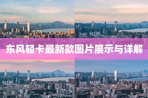 東風(fēng)輕卡最新款圖片展示與詳解