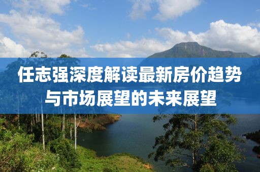 任志強深度解讀最新房價趨勢與市場展望的未來展望