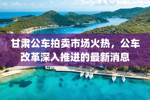 甘肅公車(chē)拍賣(mài)市場(chǎng)火熱，公車(chē)改革深入推進(jìn)的最新消息