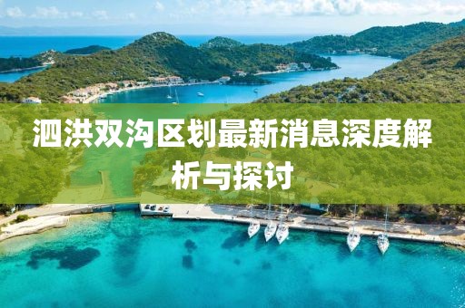 泗洪雙溝區(qū)劃最新消息深度解析與探討
