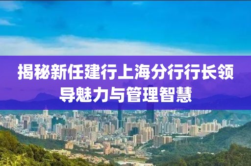 揭秘新任建行上海分行行長領(lǐng)導魅力與管理智慧