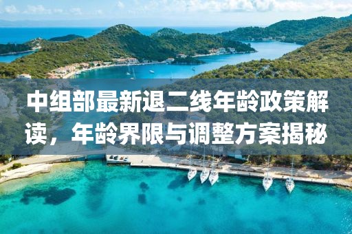 中組部最新退二線年齡政策解讀，年齡界限與調(diào)整方案揭秘