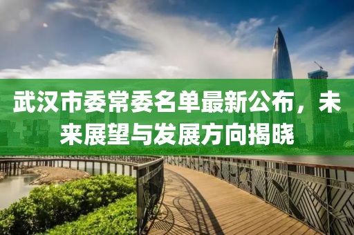 武漢市委常委名單最新公布，未來展望與發(fā)展方向揭曉