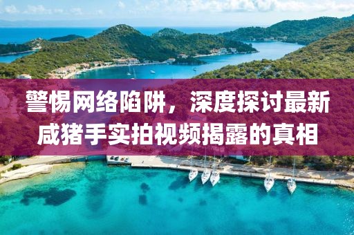 警惕網(wǎng)絡(luò)陷阱，深度探討最新咸豬手實(shí)拍視頻揭露的真相