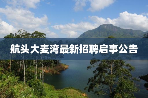 航頭大麥灣最新招聘啟事公告