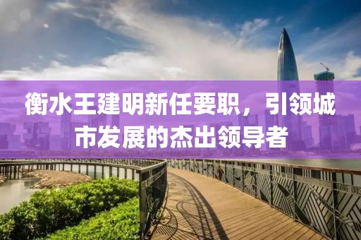 衡水王建明新任要職，引領(lǐng)城市發(fā)展的杰出領(lǐng)導(dǎo)者