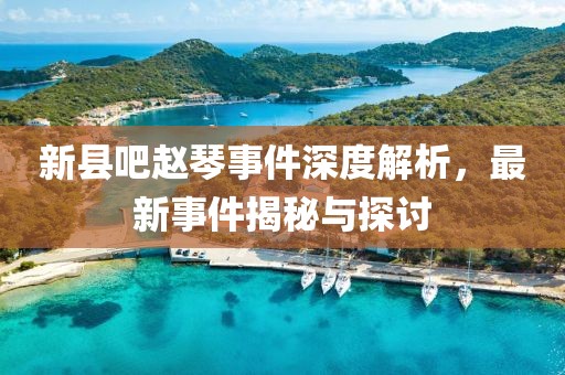 新縣吧趙琴事件深度解析，最新事件揭秘與探討