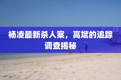 楊凌最新殺人案，高斌的追蹤調(diào)查揭秘