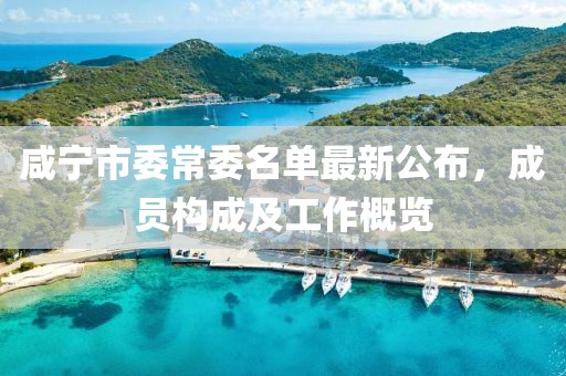 咸寧市委常委名單最新公布，成員構(gòu)成及工作概覽