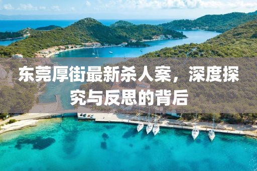 東莞厚街最新殺人案，深度探究與反思的背后