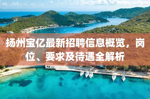 揚(yáng)州寶億最新招聘信息概覽，崗位、要求及待遇全解析