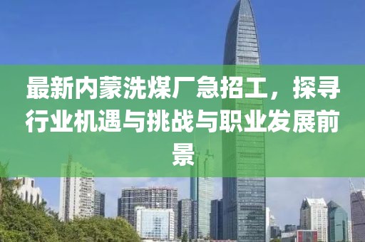 最新內(nèi)蒙洗煤廠急招工，探尋行業(yè)機(jī)遇與挑戰(zhàn)與職業(yè)發(fā)展前景