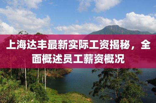 上海達豐最新實際工資揭秘，全面概述員工薪資概況