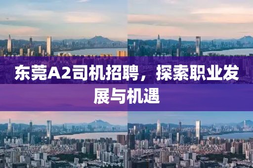 東莞A2司機(jī)招聘，探索職業(yè)發(fā)展與機(jī)遇