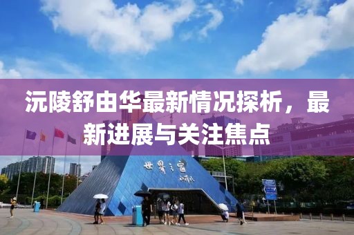 沅陵舒由華最新情況探析，最新進展與關注焦點