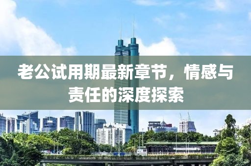 老公試用期最新章節(jié)，情感與責任的深度探索