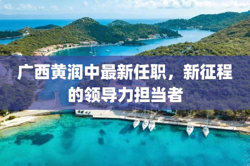 廣西黃潤中最新任職，新征程的領(lǐng)導(dǎo)力擔當者