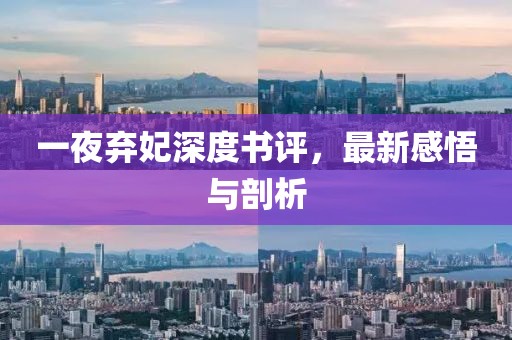 一夜棄妃深度書評，最新感悟與剖析