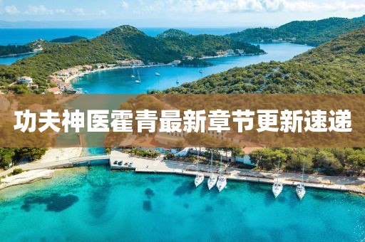功夫神醫(yī)霍青最新章節(jié)更新速遞