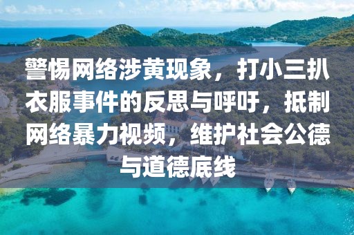 警惕網(wǎng)絡(luò)涉黃現(xiàn)象，打小三扒衣服事件的反思與呼吁，抵制網(wǎng)絡(luò)暴力視頻，維護(hù)社會公德與道德底線