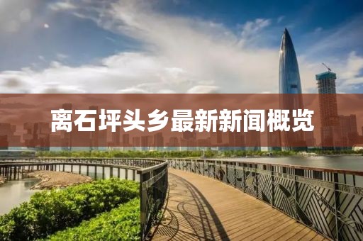 離石坪頭鄉(xiāng)最新新聞概覽
