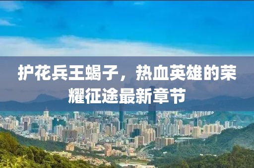 護(hù)花兵王蝎子，熱血英雄的榮耀征途最新章節(jié)