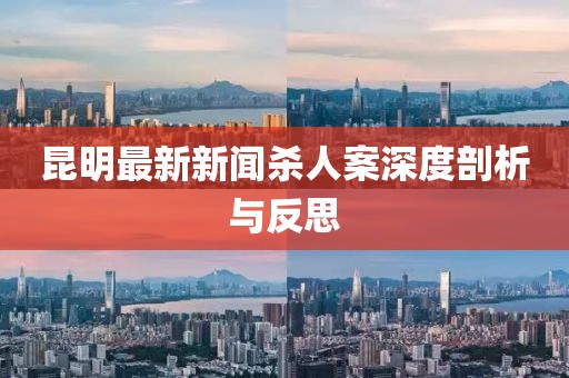 昆明最新新聞殺人案深度剖析與反思