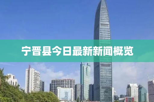 寧晉縣今日最新新聞概覽