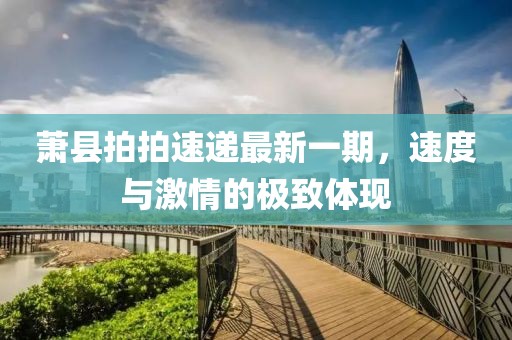 蕭縣拍拍速遞最新一期，速度與激情的極致體現(xiàn)