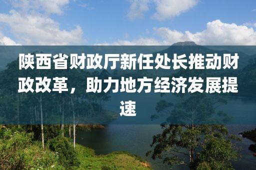 陜西省財(cái)政廳新任處長(zhǎng)推動(dòng)財(cái)政改革，助力地方經(jīng)濟(jì)發(fā)展提速