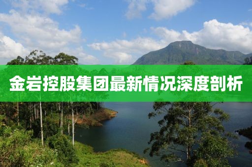 金巖控股集團(tuán)最新情況深度剖析