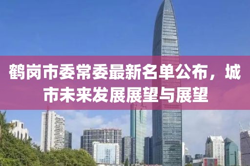 鶴崗市委常委最新名單公布，城市未來(lái)發(fā)展展望與展望