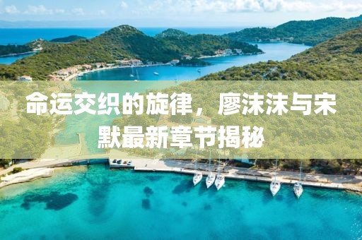 淡年華失青春 第23頁