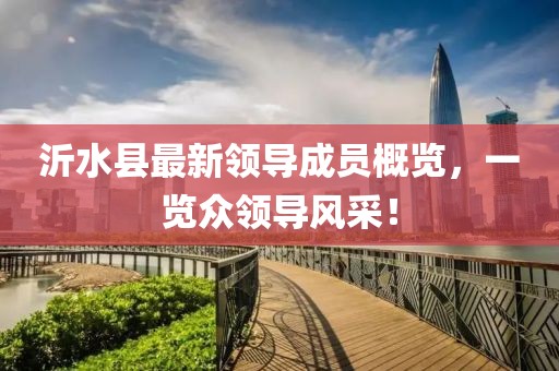 沂水縣最新領(lǐng)導(dǎo)成員概覽，一覽眾領(lǐng)導(dǎo)風(fēng)采！