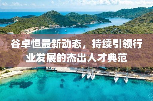 谷卓恒最新動態(tài)，持續(xù)引領(lǐng)行業(yè)發(fā)展的杰出人才典范