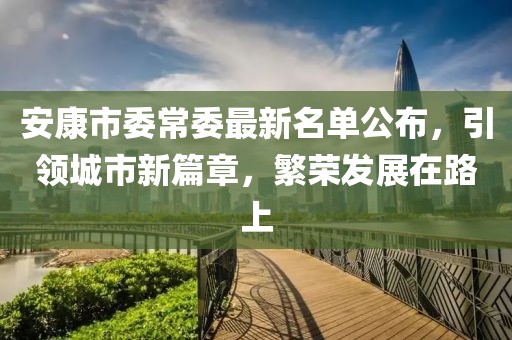 安康市委常委最新名單公布，引領(lǐng)城市新篇章，繁榮發(fā)展在路上