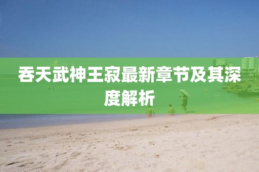 吞天武神王寂最新章節(jié)及其深度解析