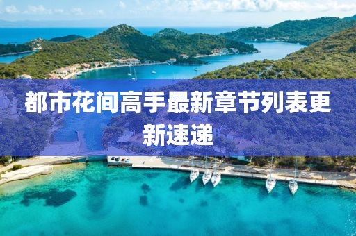 都市花間高手最新章節(jié)列表更新速遞