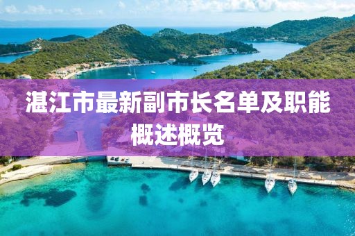 湛江市最新副市長名單及職能概述概覽