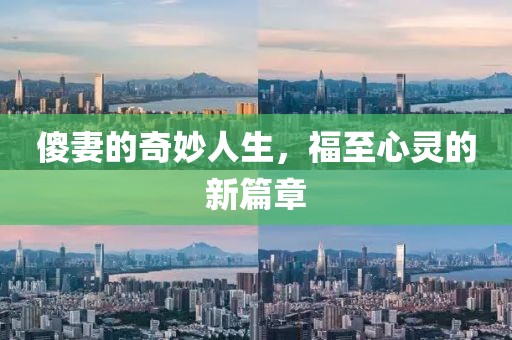 傻妻的奇妙人生，福至心靈的新篇章