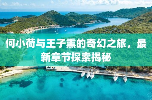 何小荷與王子熏的奇幻之旅，最新章節(jié)探索揭秘
