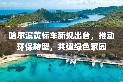 哈爾濱黃標(biāo)車新規(guī)出臺，推動環(huán)保轉(zhuǎn)型，共建綠色家園