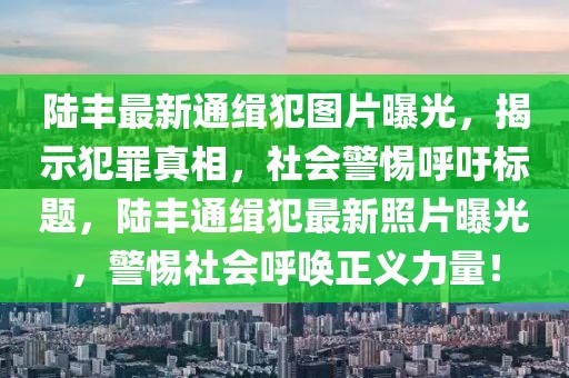 陸豐最新通緝犯圖片曝光，揭示犯罪真相，社會警惕呼吁標題，陸豐通緝犯最新照片曝光，警惕社會呼喚正義力量！