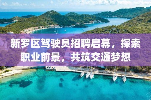 新羅區(qū)駕駛員招聘啟幕，探索職業(yè)前景，共筑交通夢(mèng)想