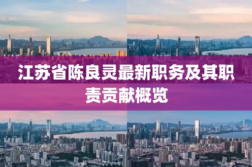 江蘇省陳良靈最新職務(wù)及其職責貢獻概覽