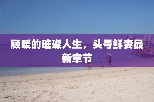 顧暖的璀璨人生，頭號鮮妻最新章節(jié)