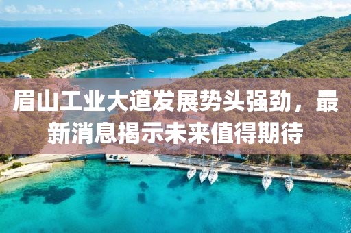 眉山工業(yè)大道發(fā)展勢頭強勁，最新消息揭示未來值得期待